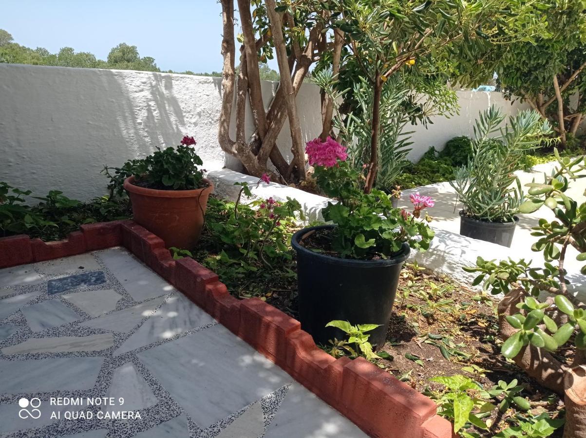 Iasonas Apartments Mastichari  Buitenkant foto