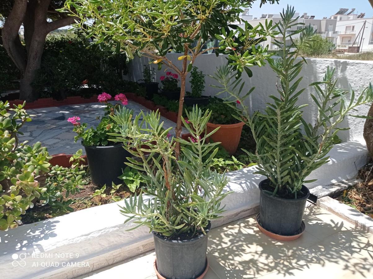 Iasonas Apartments Mastichari  Buitenkant foto